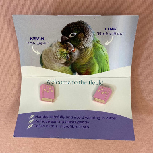Seconds Sale Earrings - Limited - EOFYS 2025